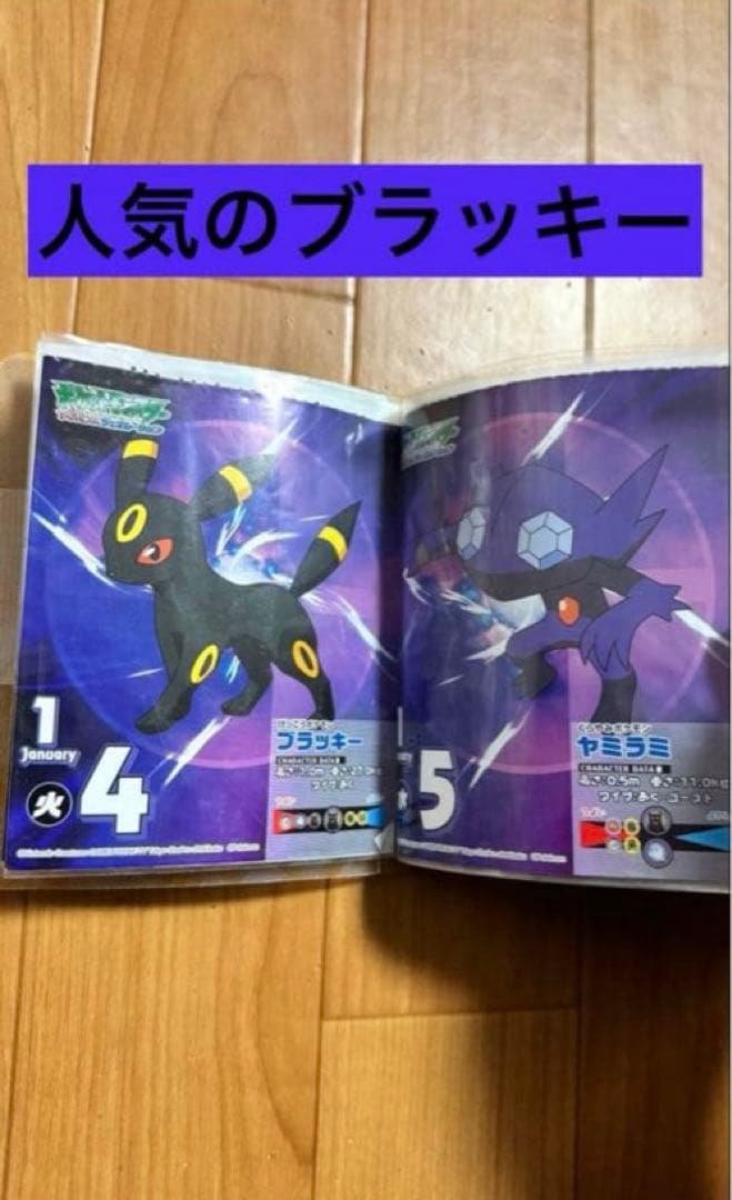 【激レア】ポケモン アドバンスジェネレーション 2005年　日めくりカレンダー