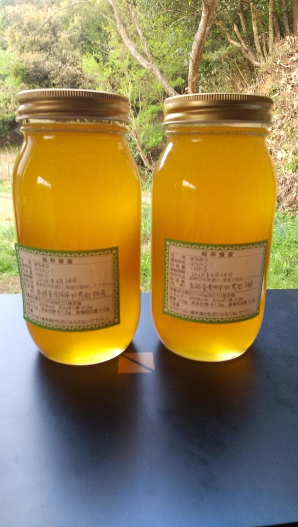 ニホンミツバチ百花蜜　1000ｇ２本