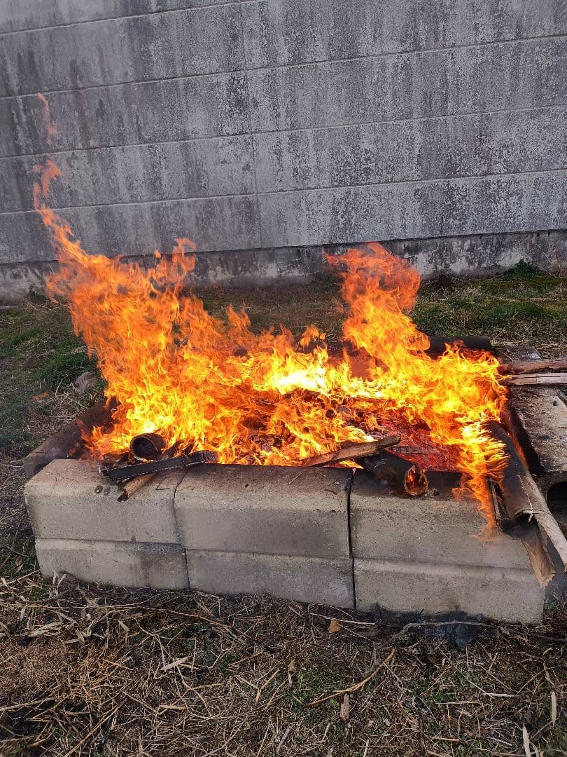 令和7年新米きぬむすめ玄米10キロ