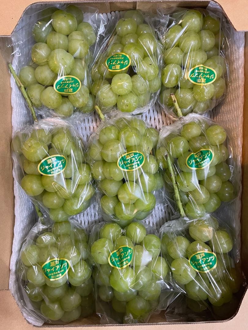① 【岡山県産】瀬戸ジャイアンツ　7〜12房　約5キロ