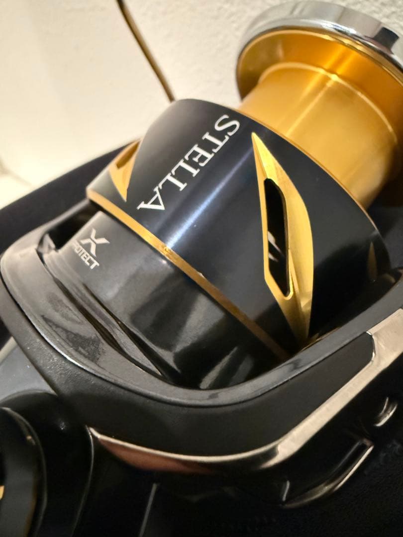 20 ステラ SW 5000HG フルメンテコースOH済み PE2.5号300付