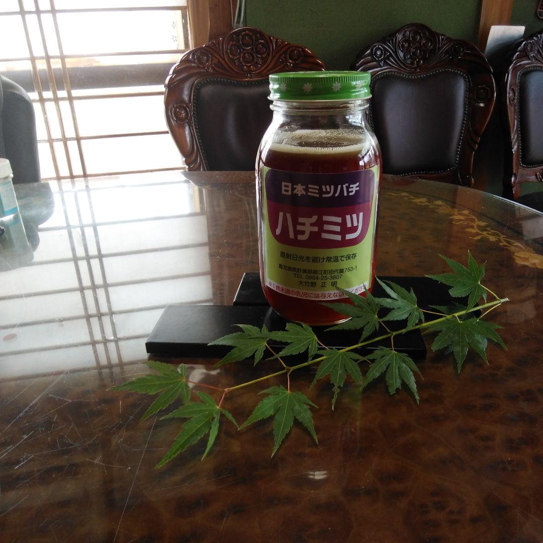 日本ミツバチはちみつ