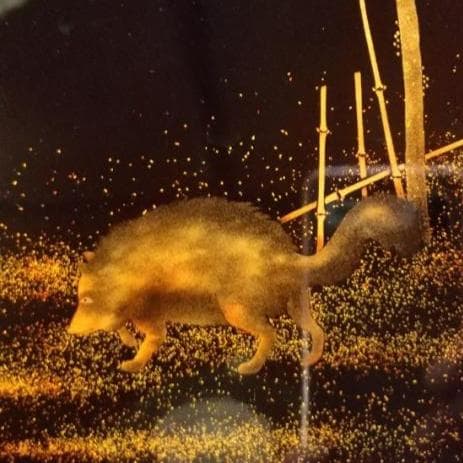 金蒔絵　角盆　研出蒔絵　狸図　3枚