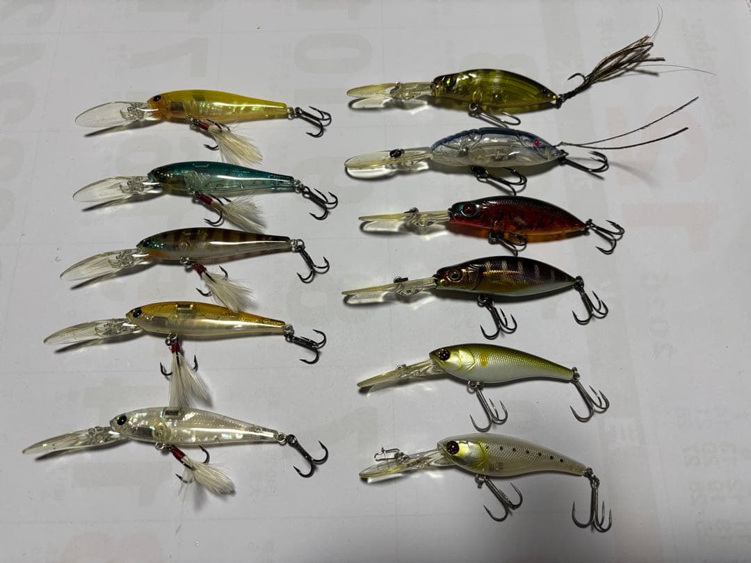 シャッド 11個セット