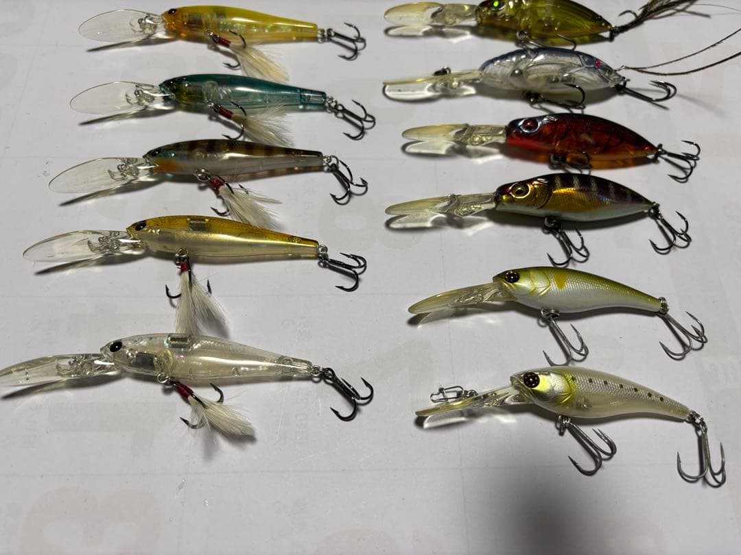 シャッド 11個セット