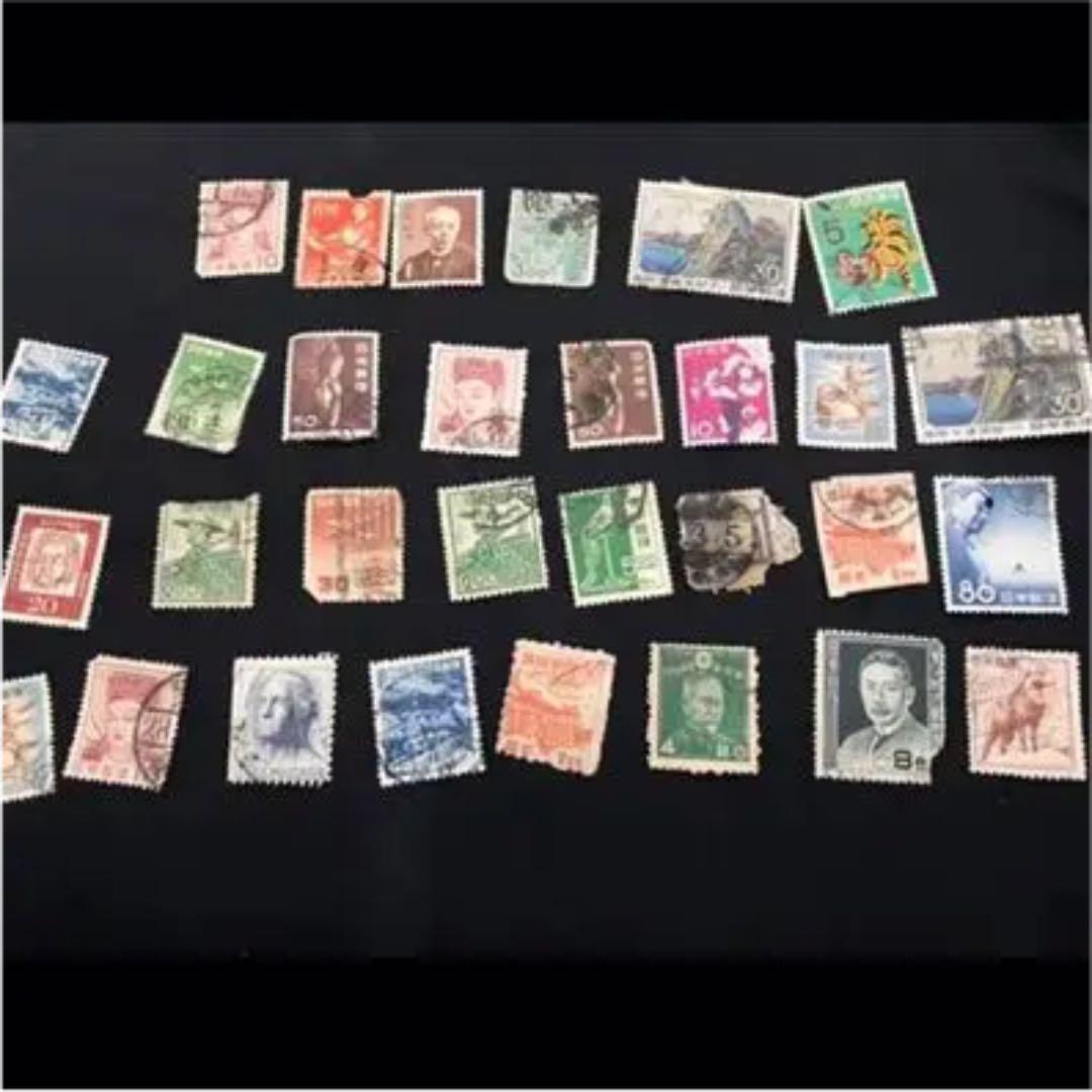 コレクション Haru