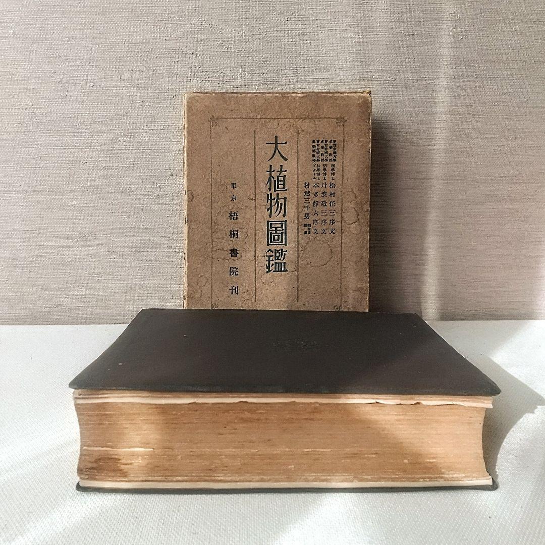 【戦前・初版本】大植物圖鑑　昭和十六年　らんまん・牧野富太郎ライバル　村越三千男