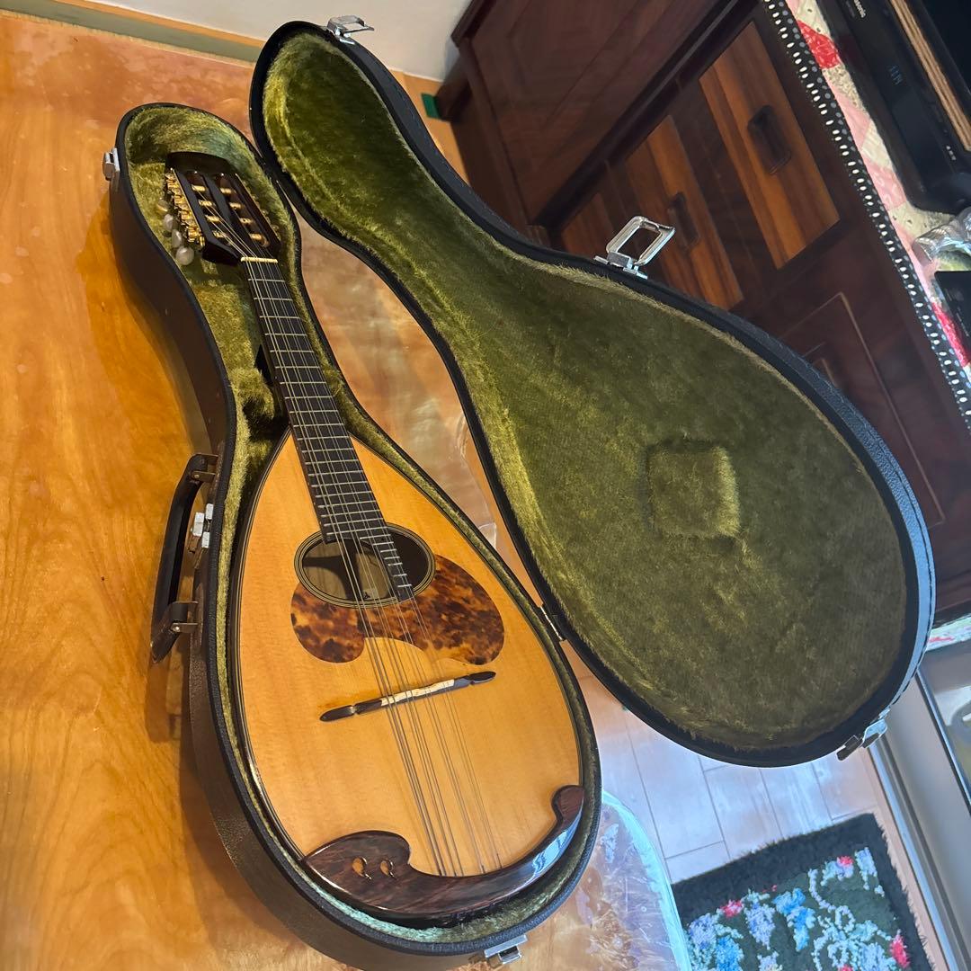 SUZUKI マンドリン M-60 美品 ハードケース付き