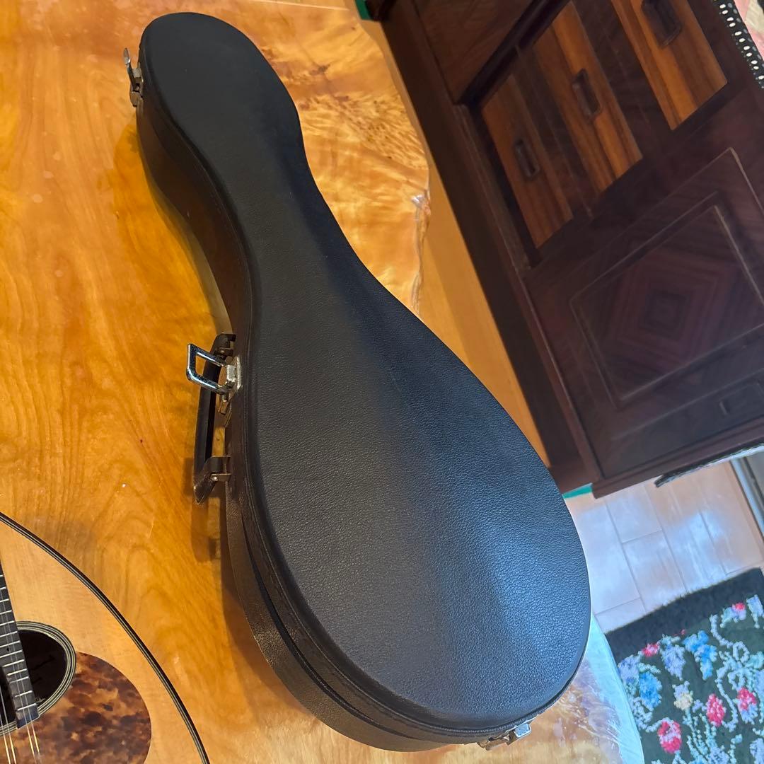 SUZUKI マンドリン M-60 美品 ハードケース付き