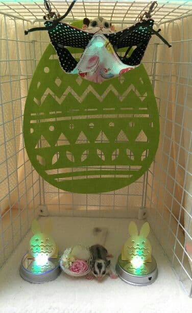 モモンガハウス(スイーツ柄Ver.5)茶ドット 春(夏)仕様　1850円