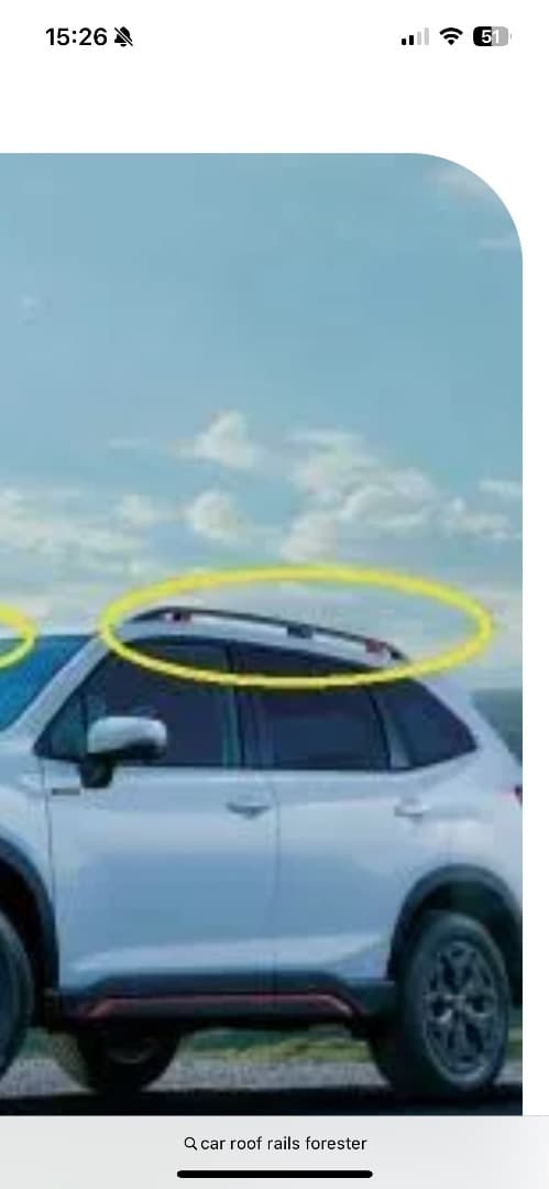 カリフォルニーさま専用 WILDLANDS