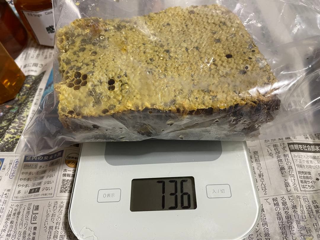 Shells様検討用　日本蜜蜂巣蜜2025.9