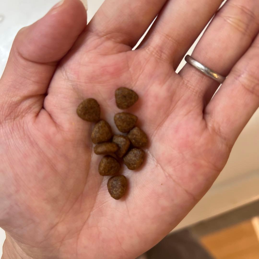 お得！ELMO(エルモ)オーガニックドックフード※成犬用