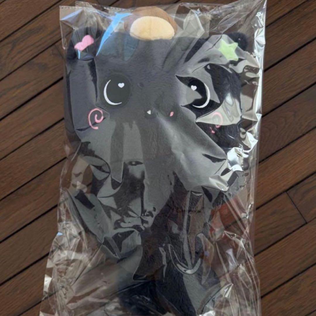 NCT WISH ソウルコン リク ぬいぐるみ キャラクターバッグ　トレカなし