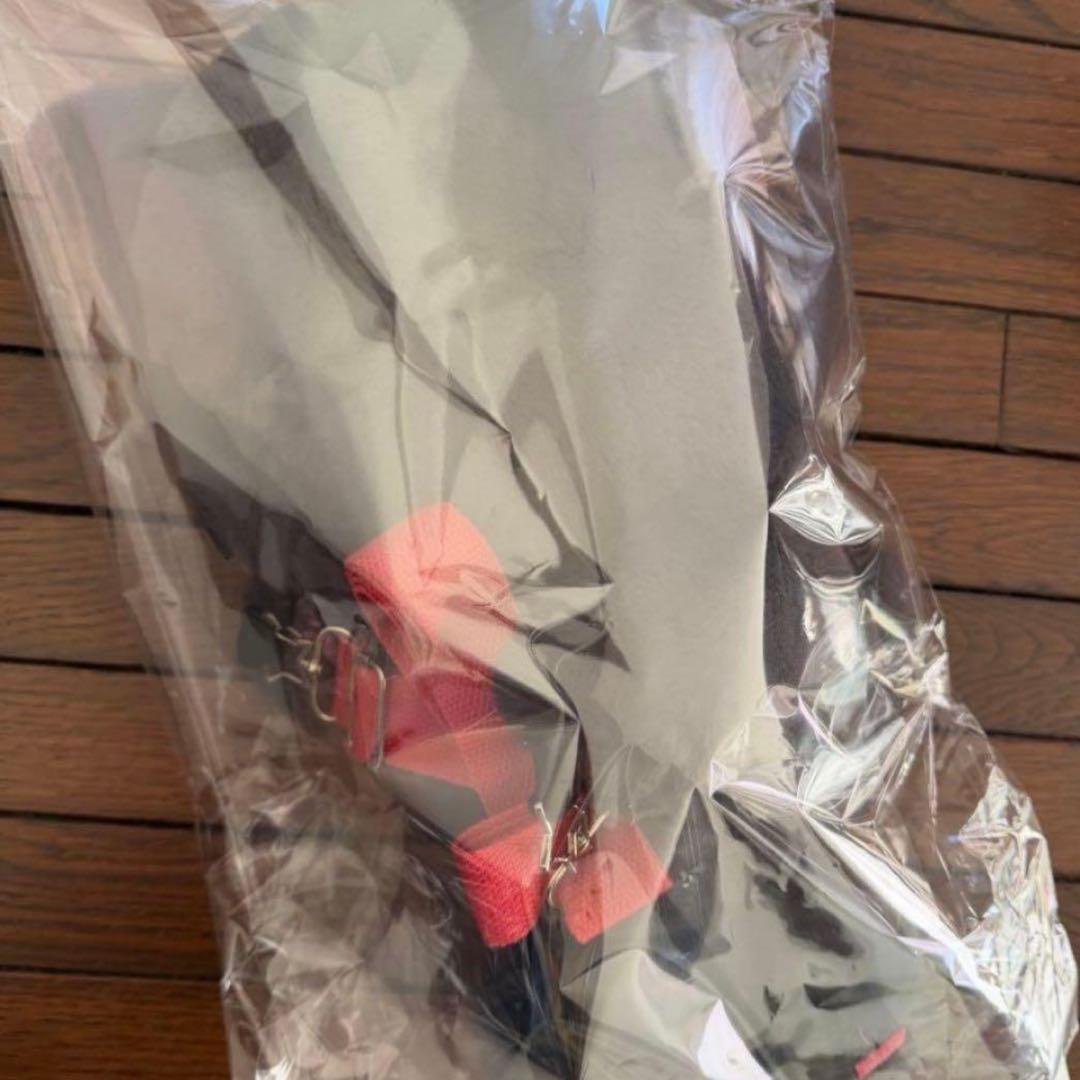 NCT WISH ソウルコン リク ぬいぐるみ キャラクターバッグ　トレカなし