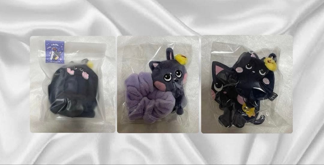 riize ウォンビン ペンライトカバー シュシュ キーリング 3点セット