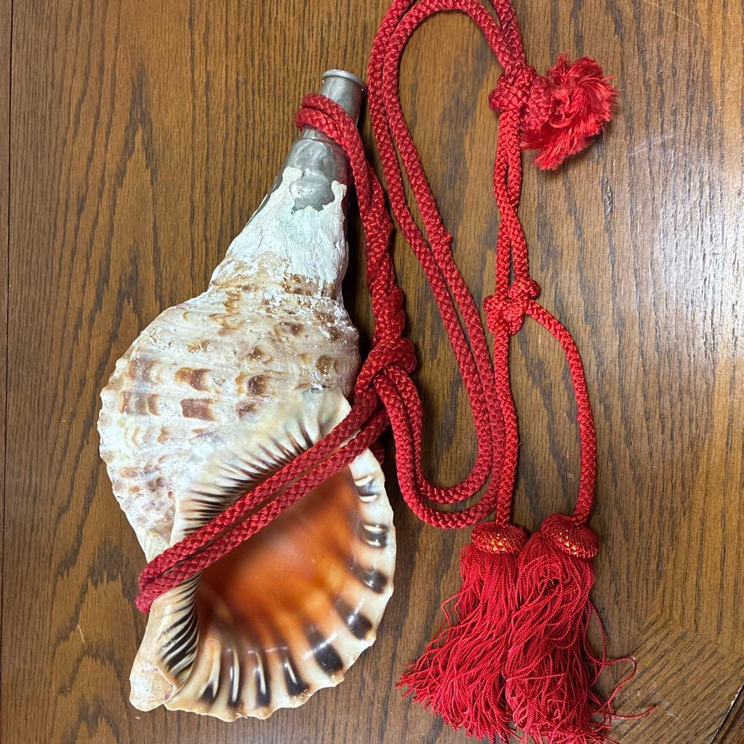貝殻楽器 赤い紐付き 約20cm