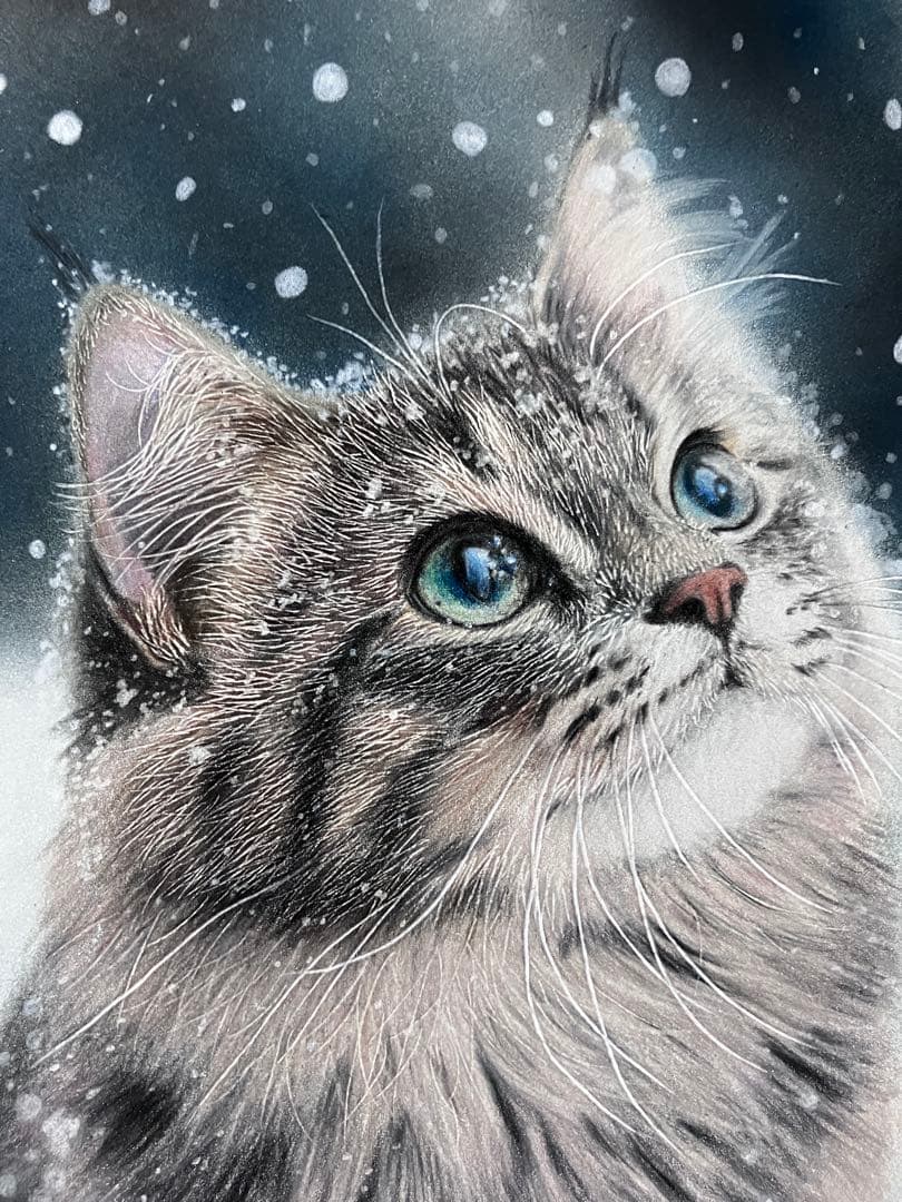 満天の雪 色鉛筆画 パステル