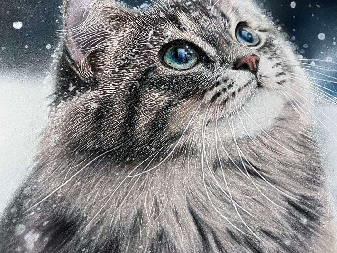 満天の雪 色鉛筆画 パステル