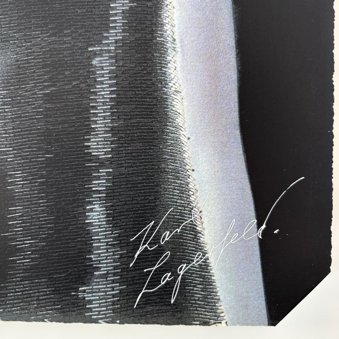 CHANEL 絵　シルクスクリーン　孔版画