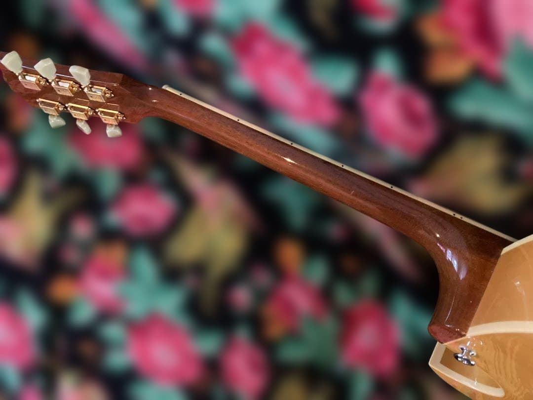 ギター Archtop Tribute AT-102