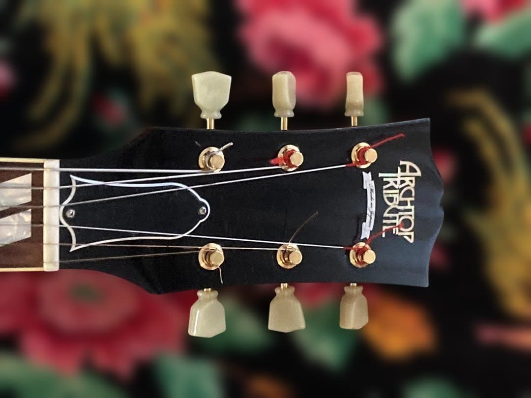 ギター Archtop Tribute AT-102