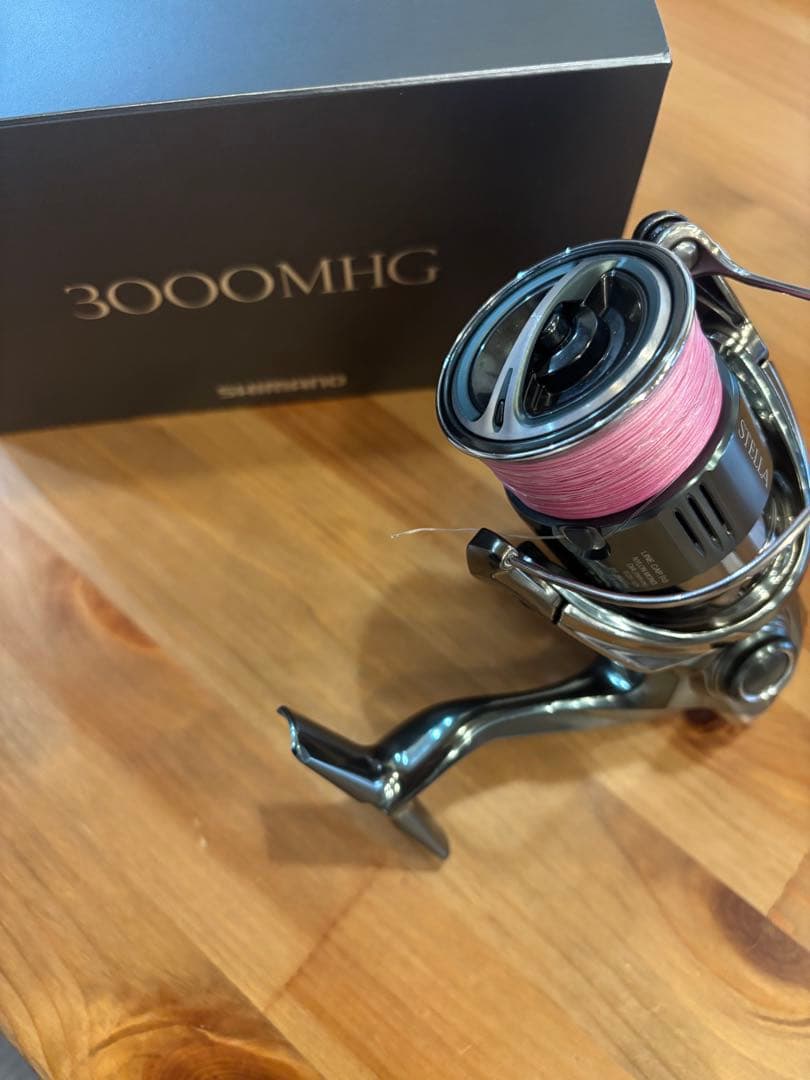 22ステラ　3000mhg