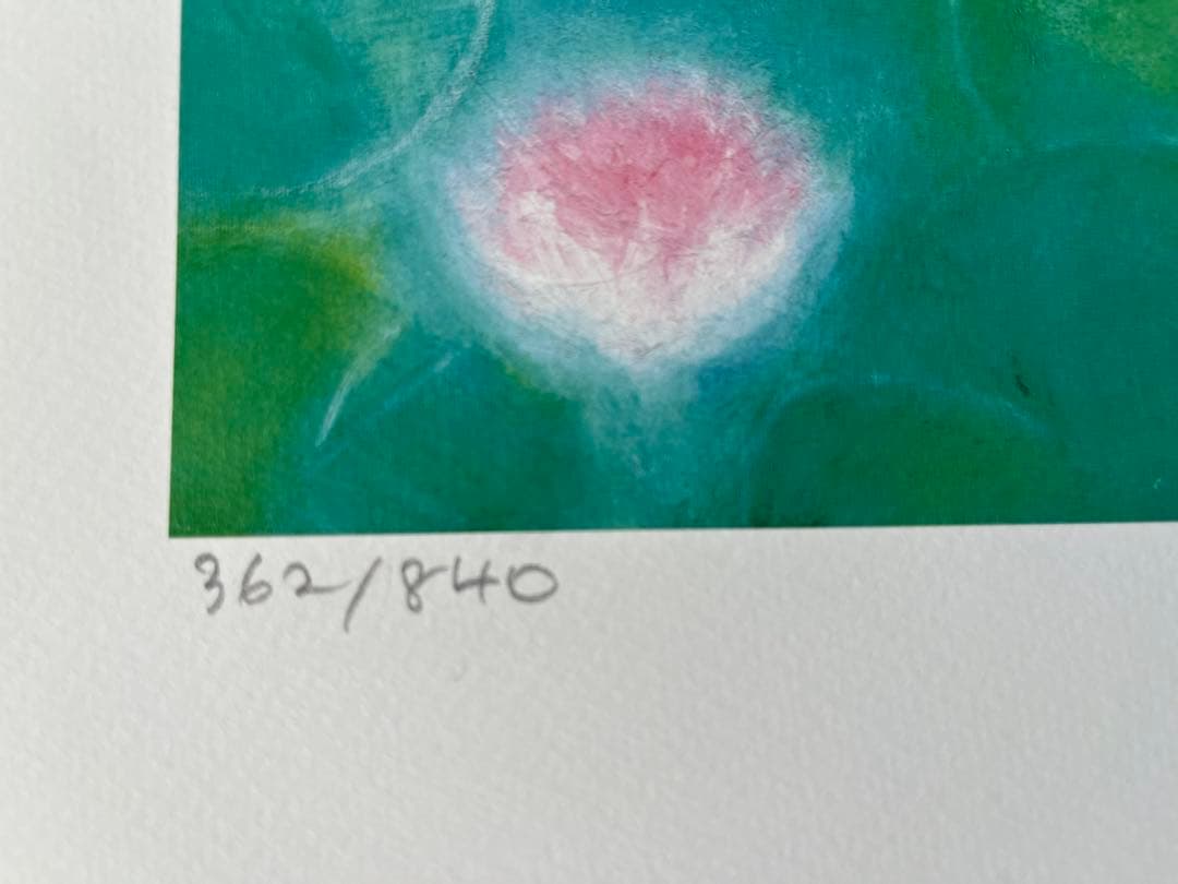 版画　限定　サイン、エデション番号有　額入り　蓮　グリーン系　ジニーキム　睡蓮