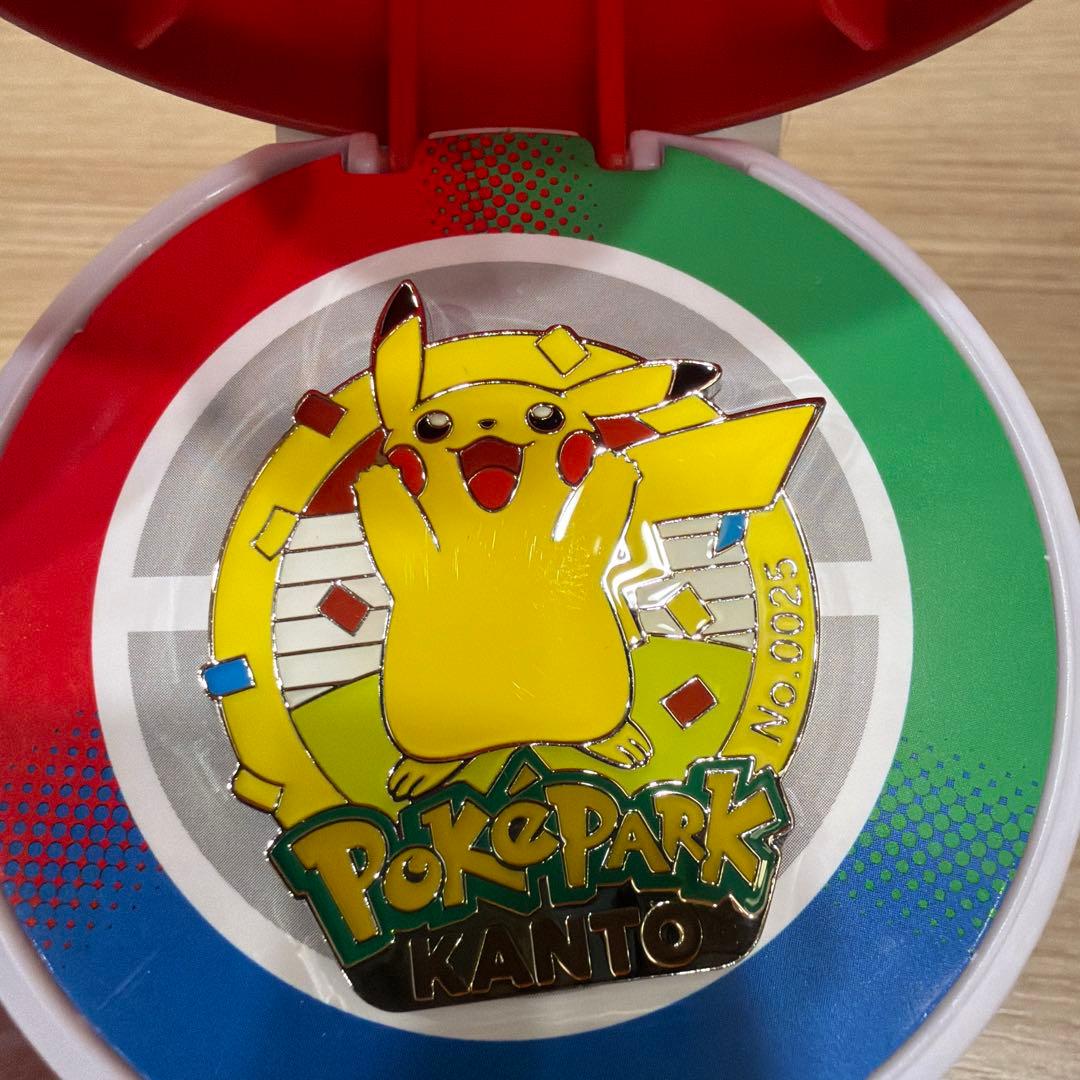 ポケパーク カントー ピカチュウ ピンズ