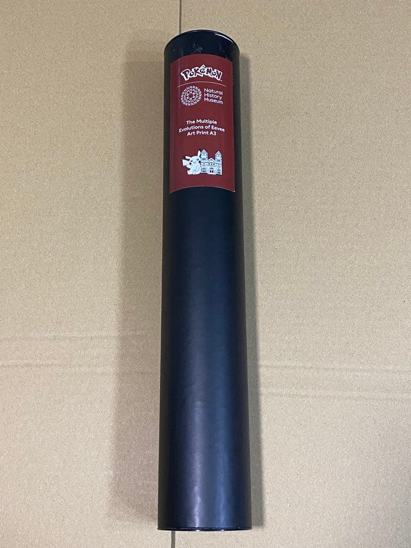 ポケモン ロンドン自然史博物館　イーブイ　A3 ポスター