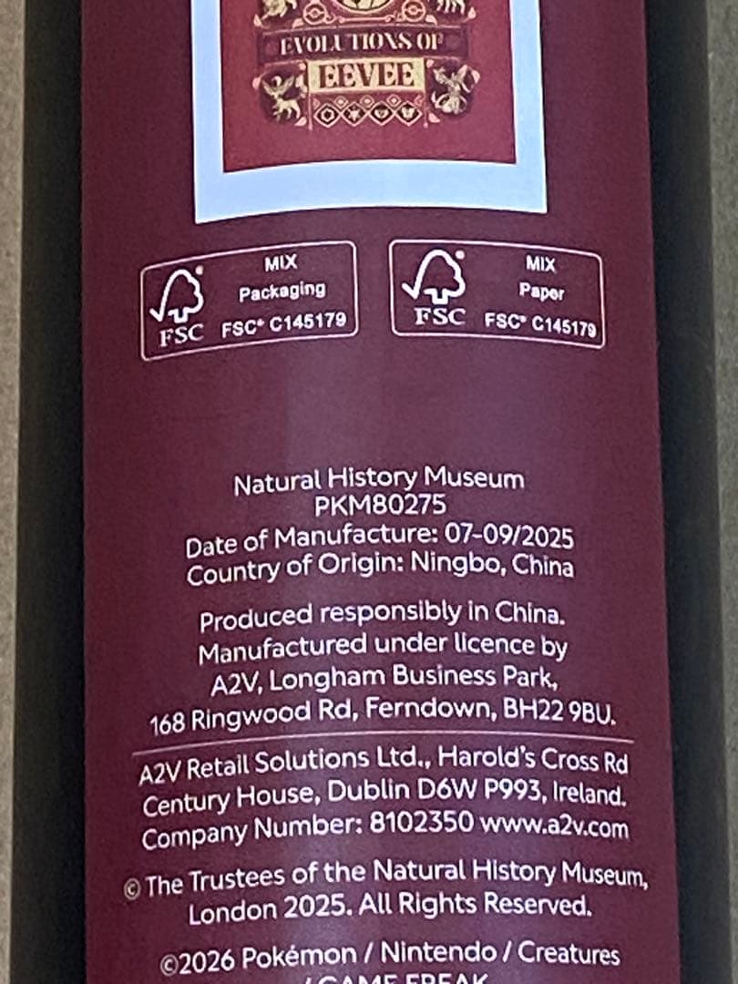 ポケモン ロンドン自然史博物館　イーブイ　A3 ポスター