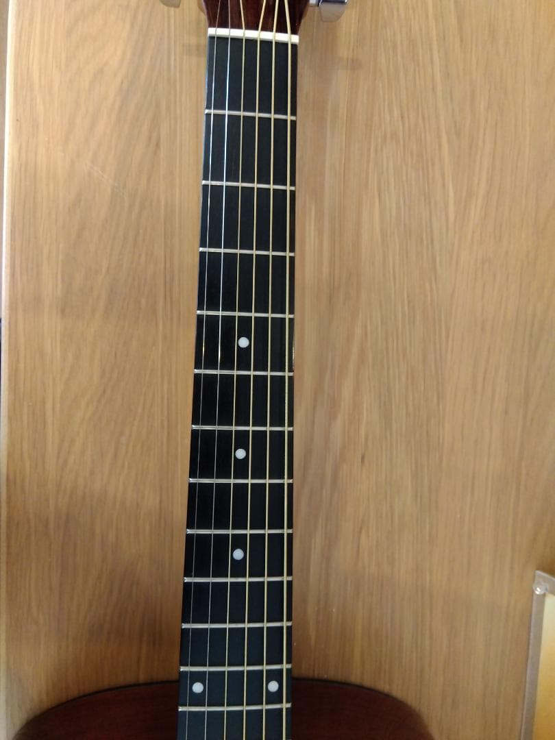 Morris アコースティックギター F-350LH NAT