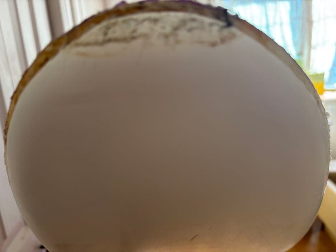 ※NaoKRACKA紫 パープル ソフト ジュニア ニッパーボード