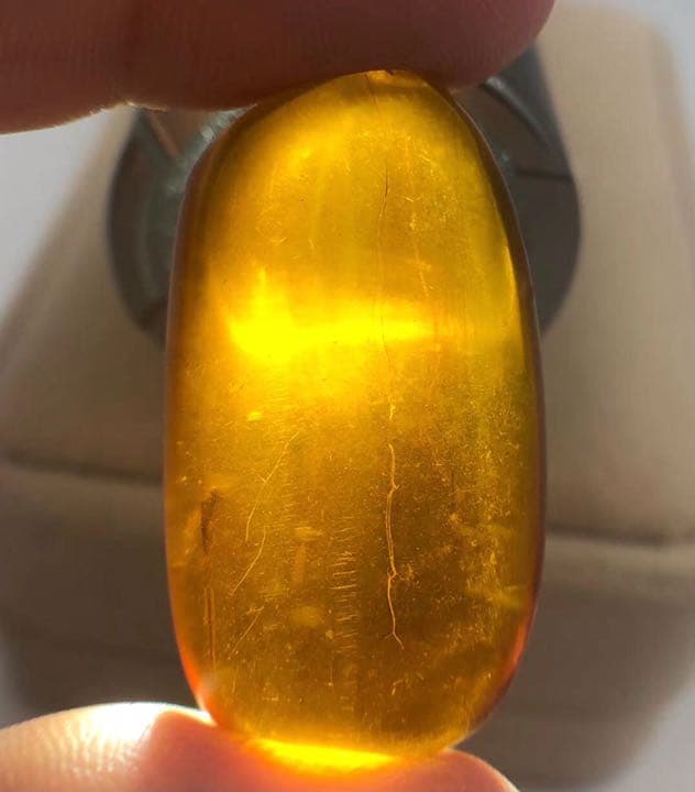 虫琥珀 虫入り アンバー  こはく 天然 ユニーク 天然石 虫入り