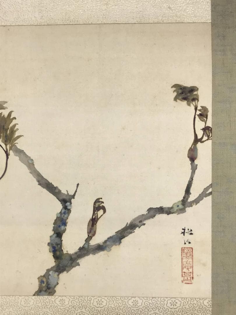 【真作】藤井松山/芽牡丹図/牡丹図/花図/横物/掛軸☆宝船☆AD-454