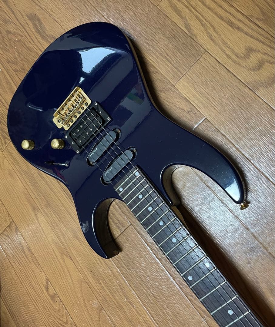 Maison Photogenic ダークパープル ケース付き