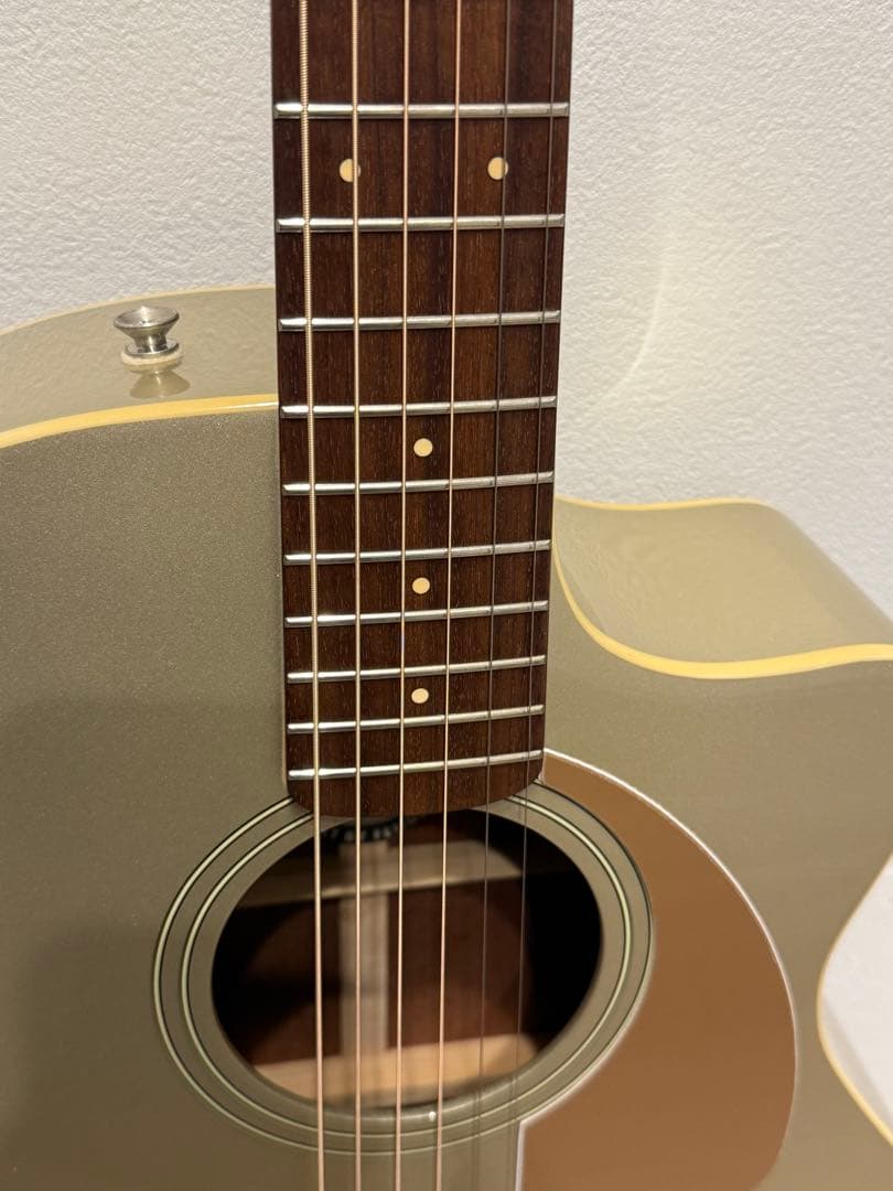 Fender Newporter Player エレアコ 希少カラー