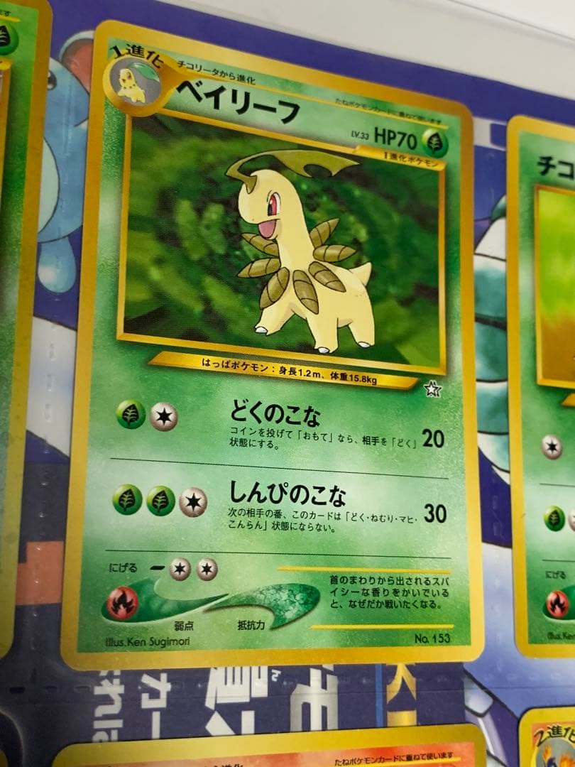 ポケモンカード　neo プレミアムファイル　9枚　未使用