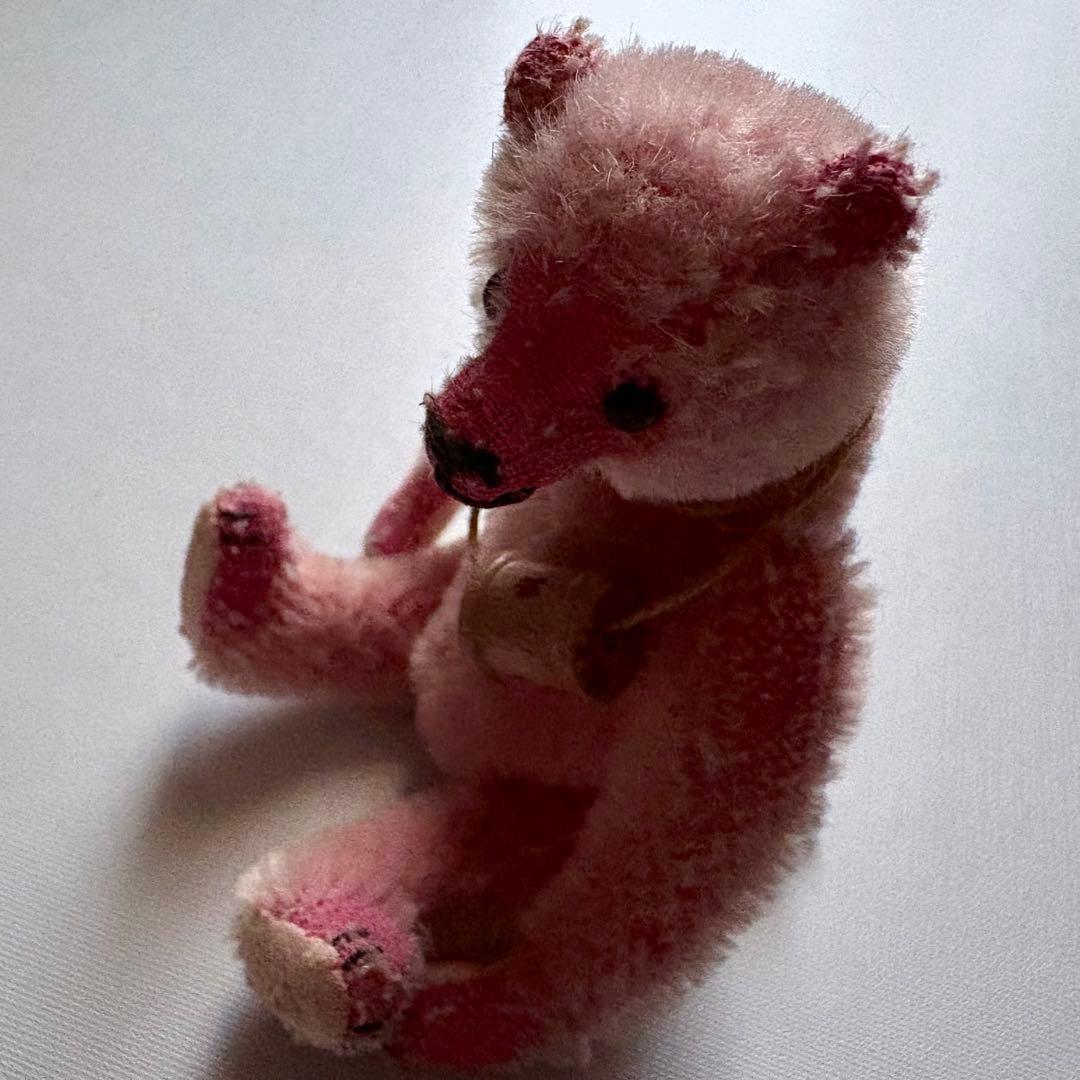 Hifumi | Adams ヒフミ・アダムス 123Wade Bears ベア