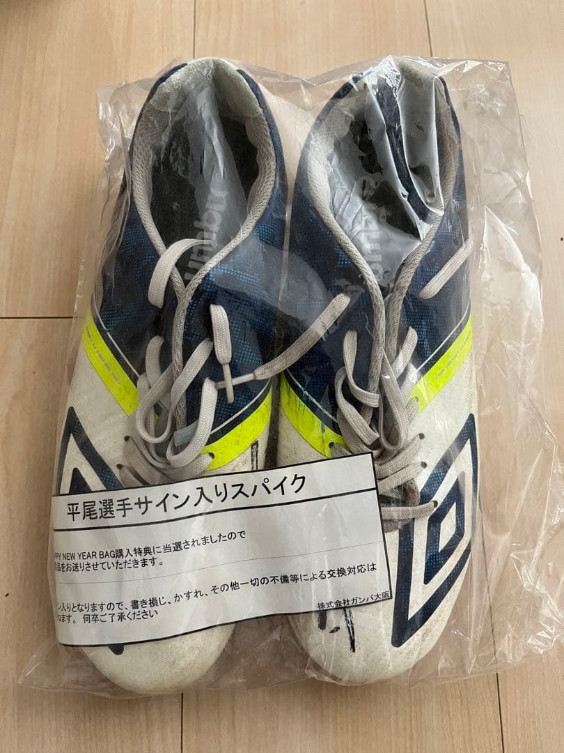 平尾壮 選手 サイン入りスパイク