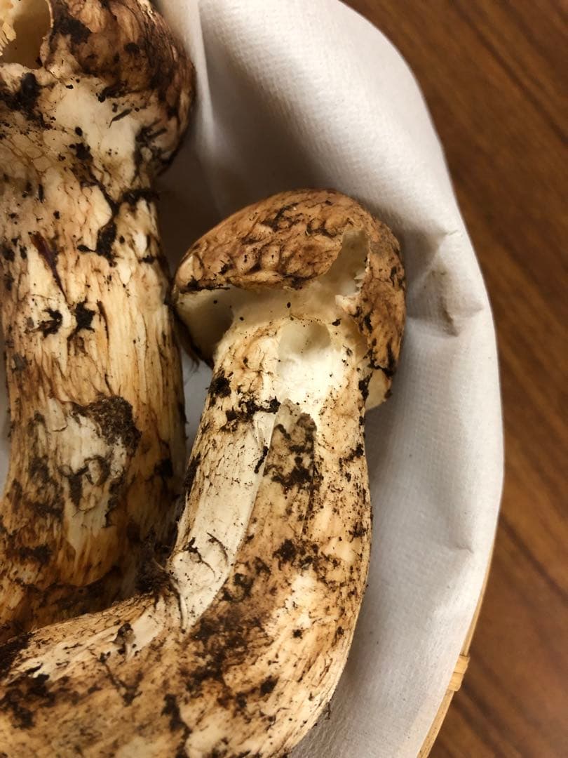 岩手県産　訳あり天然松茸（353g）③