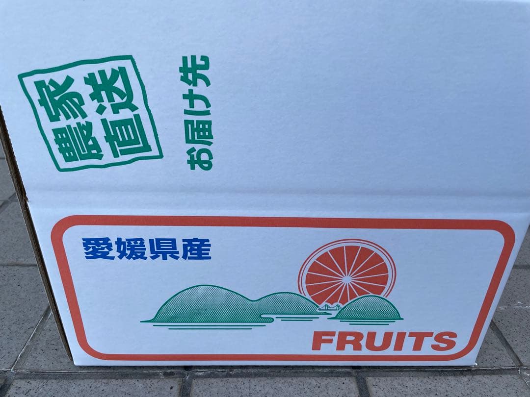 3国産ベルガモットオレンジ果実香りが強い露地栽培約9kg 【A品（B品含む）】