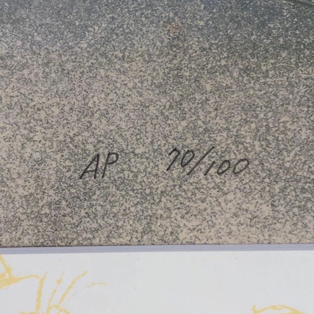 リトグラフ 東京ディズニーランド トゥーンタウン AP 保証書付 絵 限定