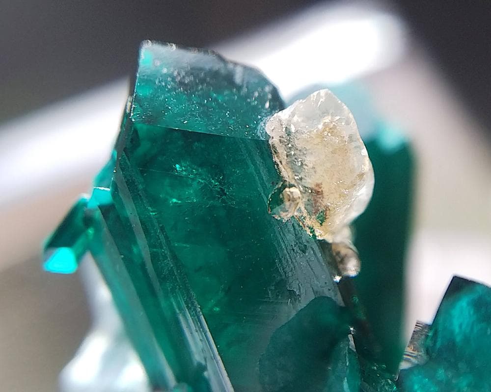 482 ダイオプテーズ 翠銅鉱 クラスター コンゴ産