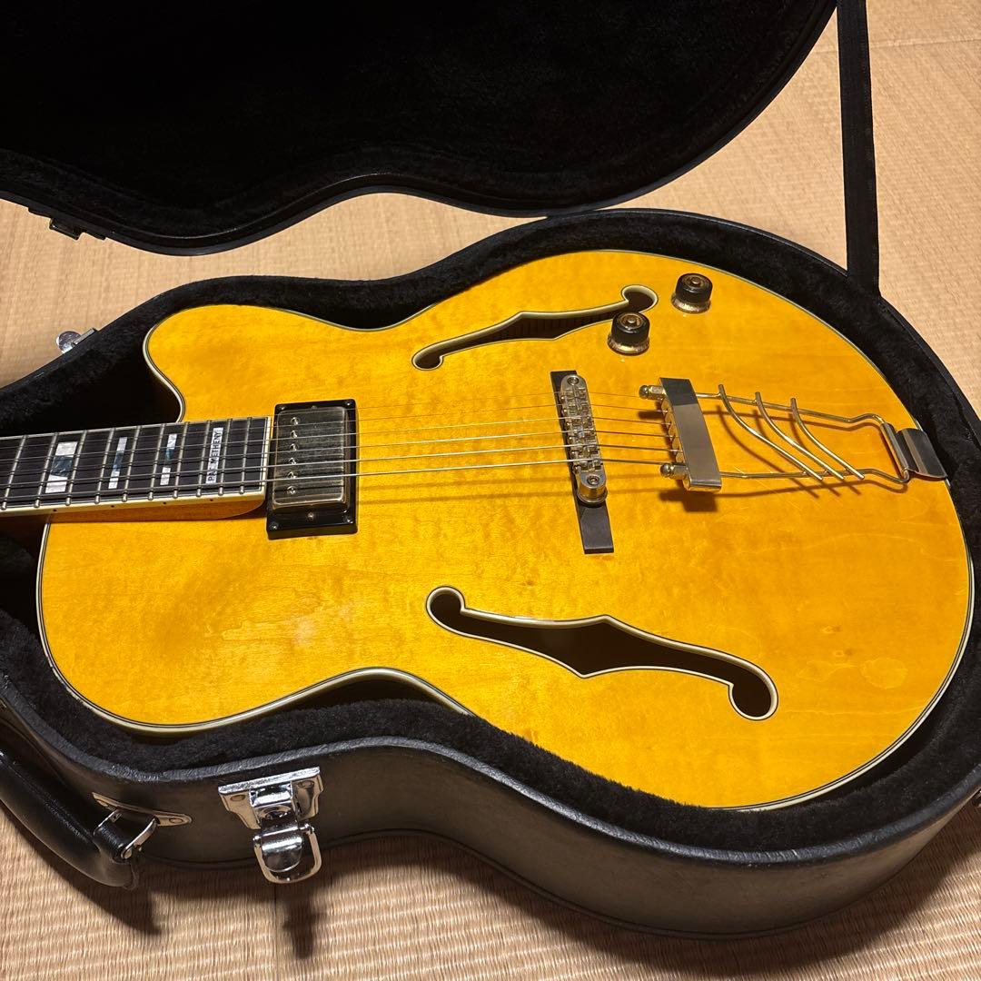 IBANEZ PM 2-AA アイバニーズ　パット　メセニー