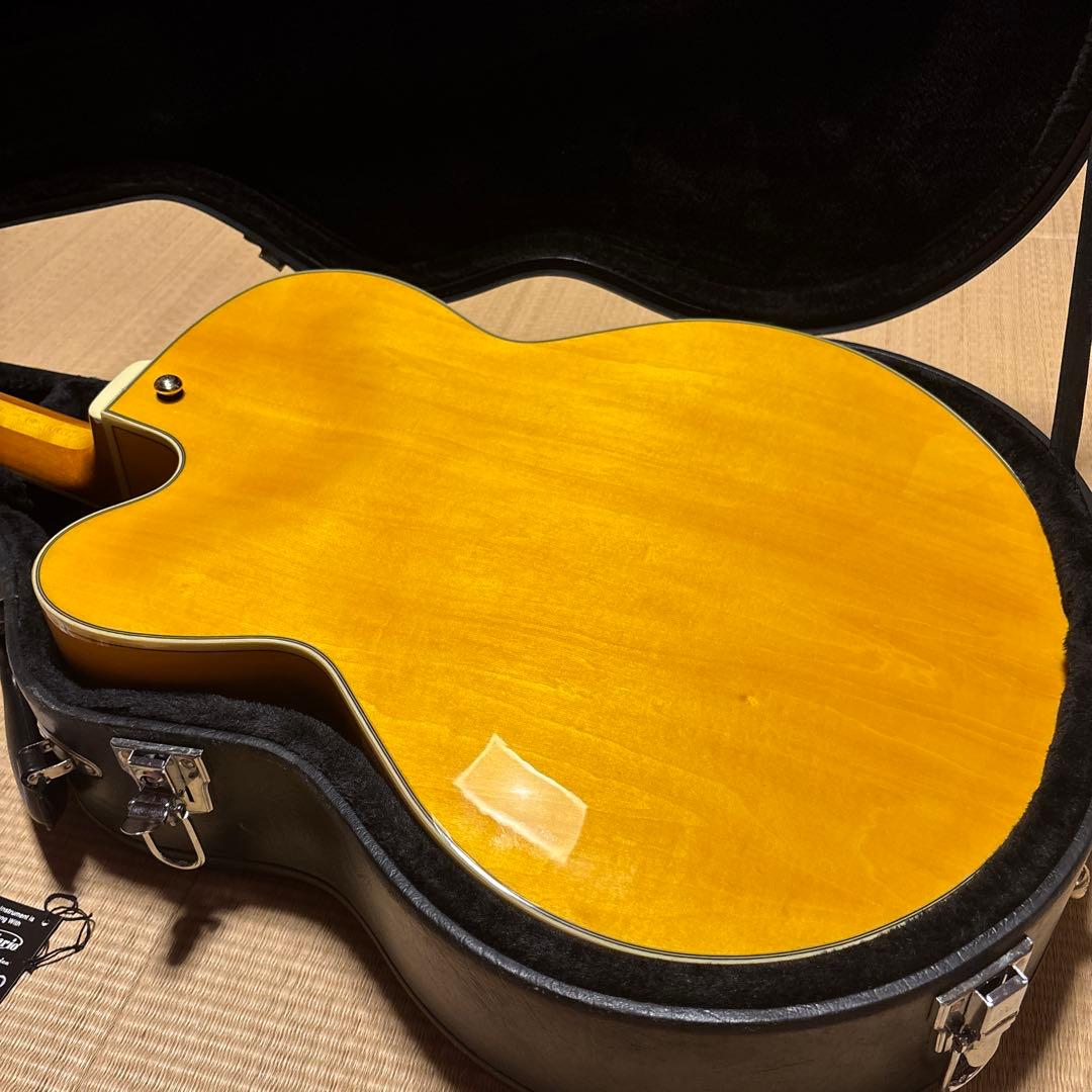 IBANEZ PM 2-AA アイバニーズ　パット　メセニー