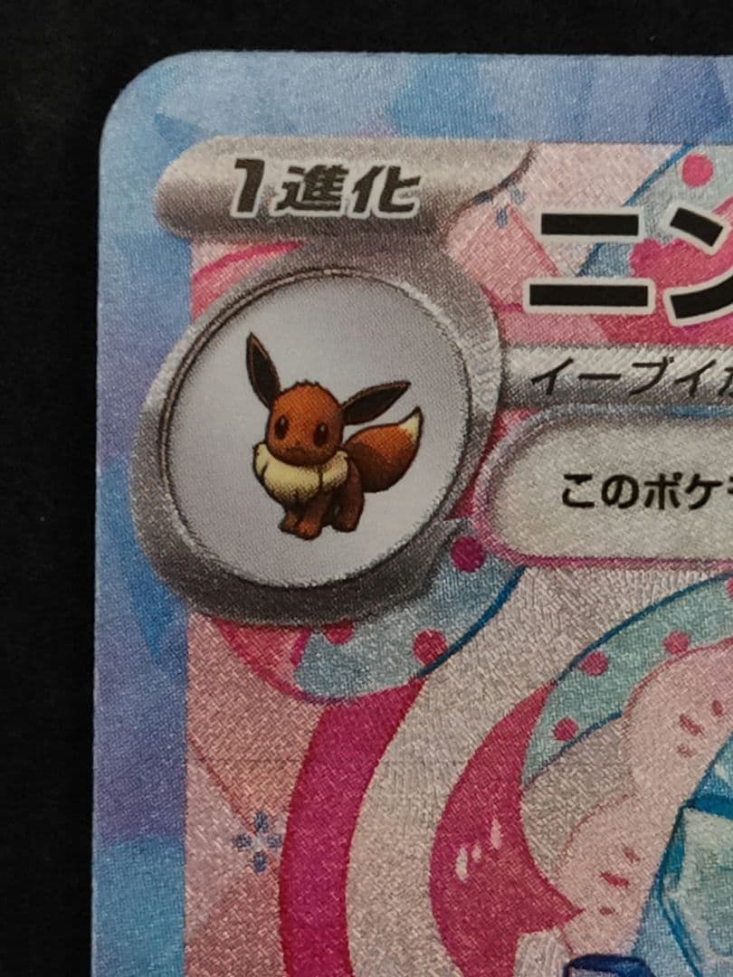 【早い者勝ち】ブラッキーex ニンフィアex SAR テラスタルフェスex