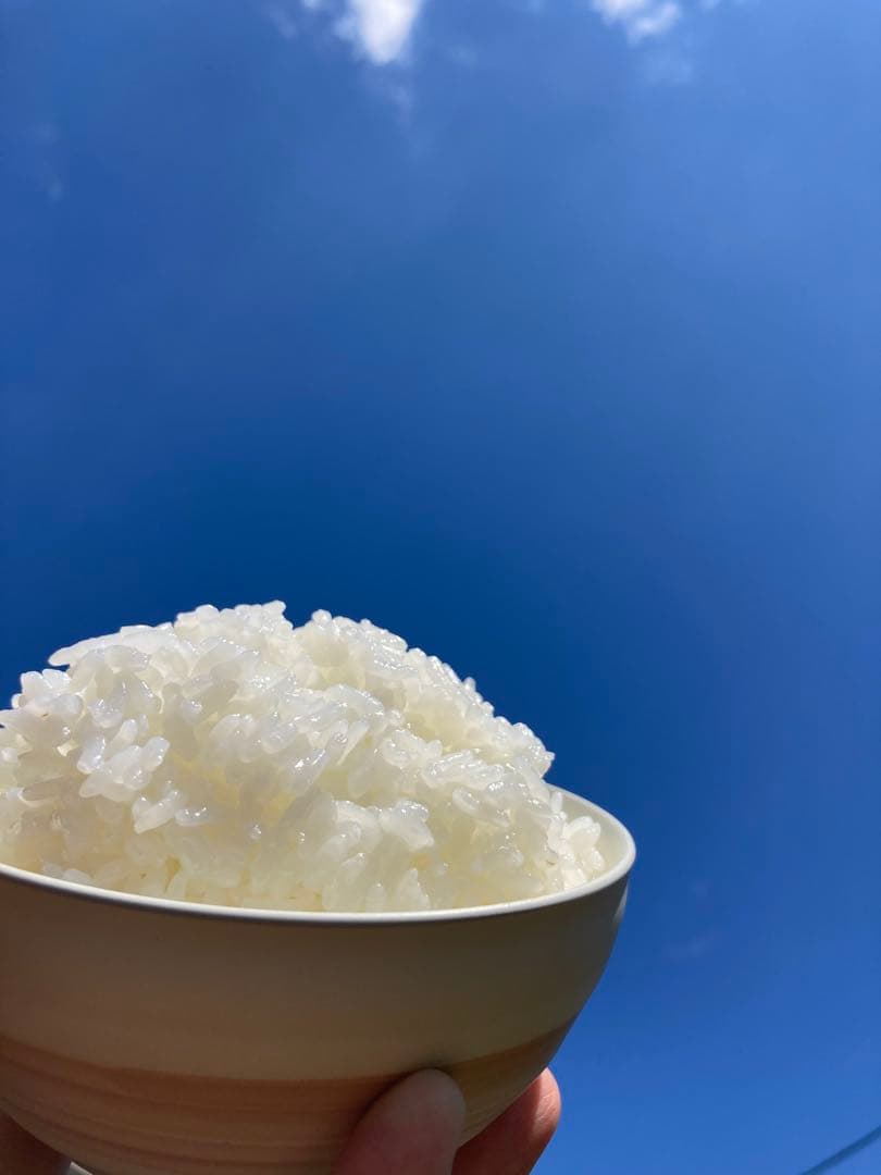 こだわりのお米　つきあかり　生産者直送　精米10キロ　令和7年度産