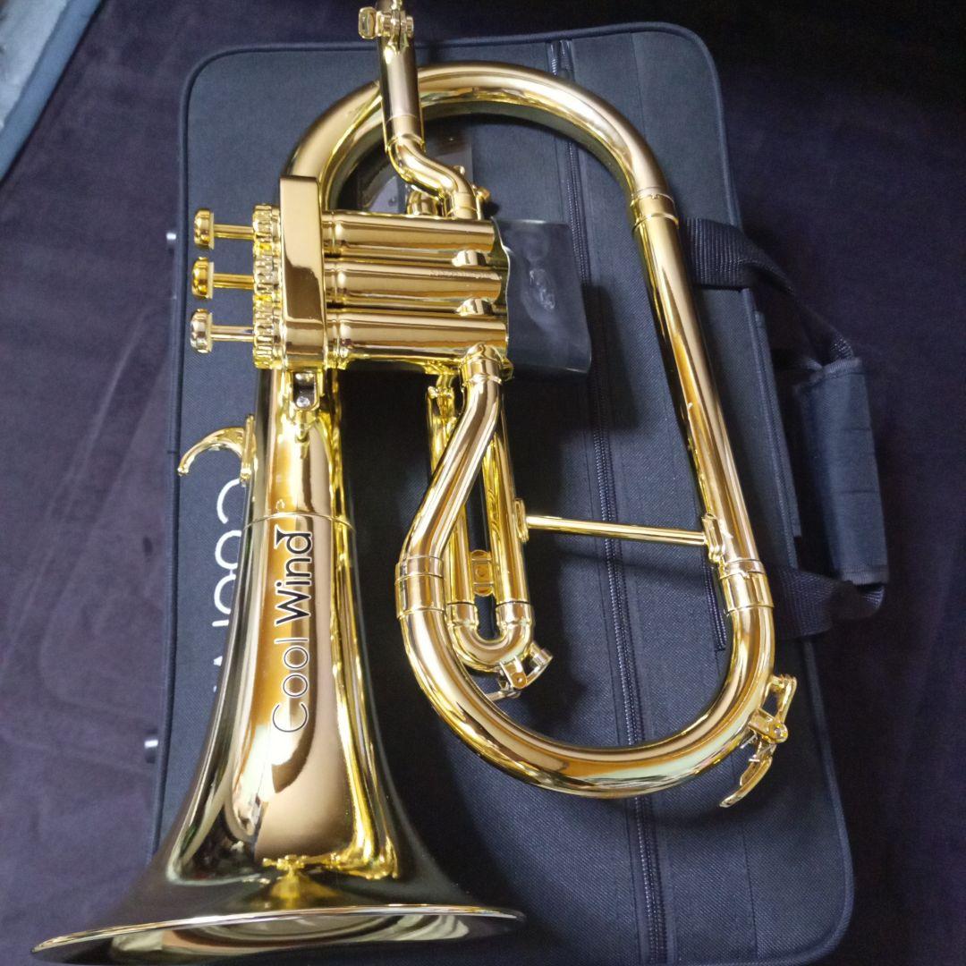 Cool Wind プラスチック フリューゲルホルン 本体 ボトムキャップ無し