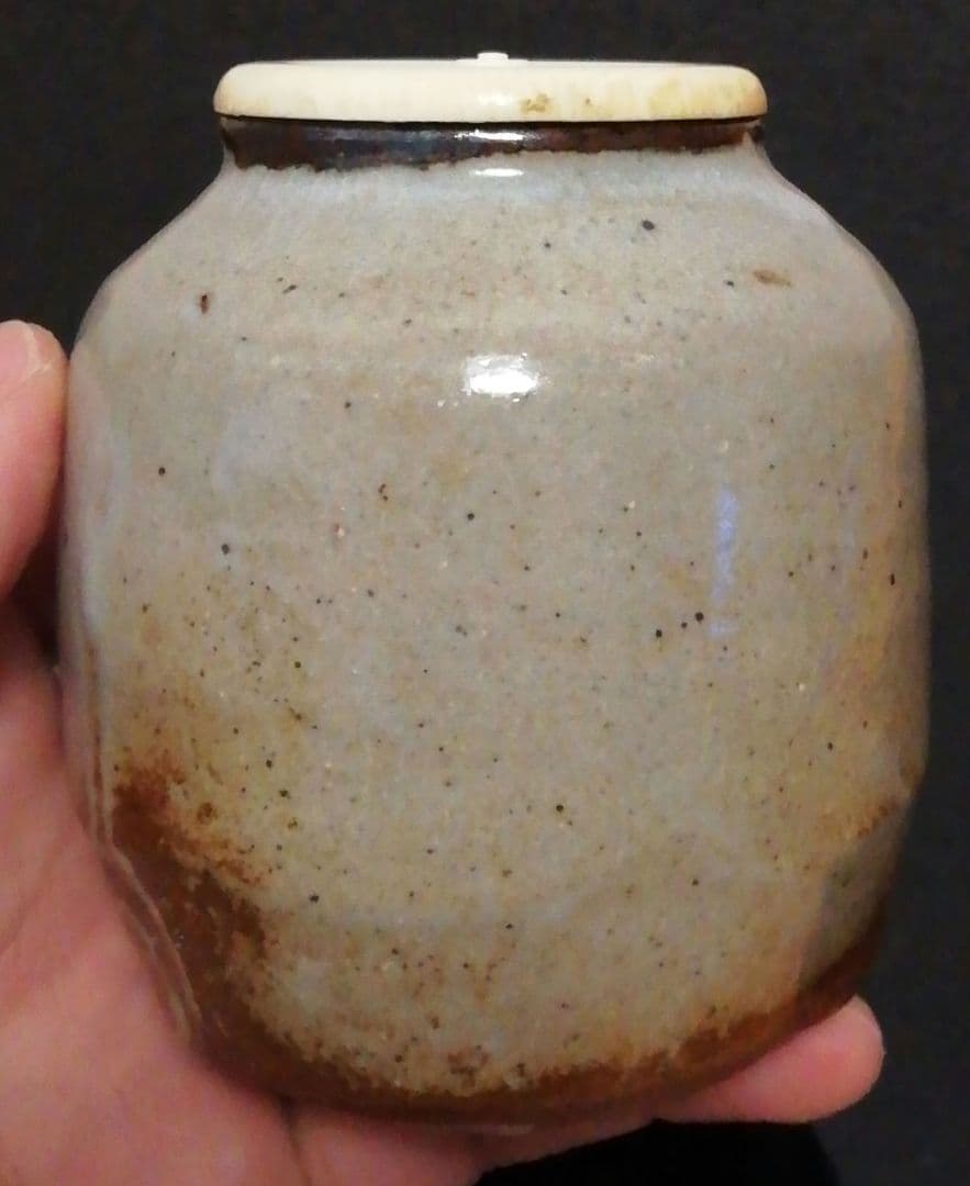 水月窯　虎渓山　唐津焼　茶入　共箱　仕服付　茶道具